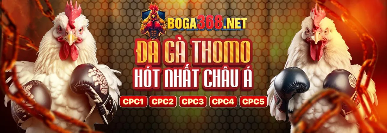 Tin tức 555win55 Casino mới nhất