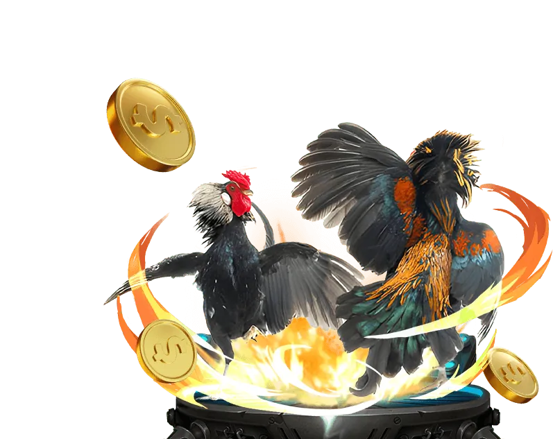 Tin tức khuyến mãi 555win55 Casino